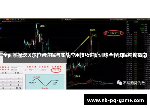 全面掌握坎贝尔位置详解与实战应用技巧进阶训练全程图解精编指南