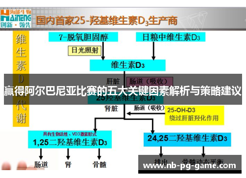 赢得阿尔巴尼亚比赛的五大关键因素解析与策略建议